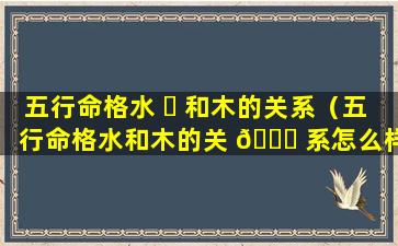 五行命格水 ☘ 和木的关系（五行命格水和木的关 🍁 系怎么样）